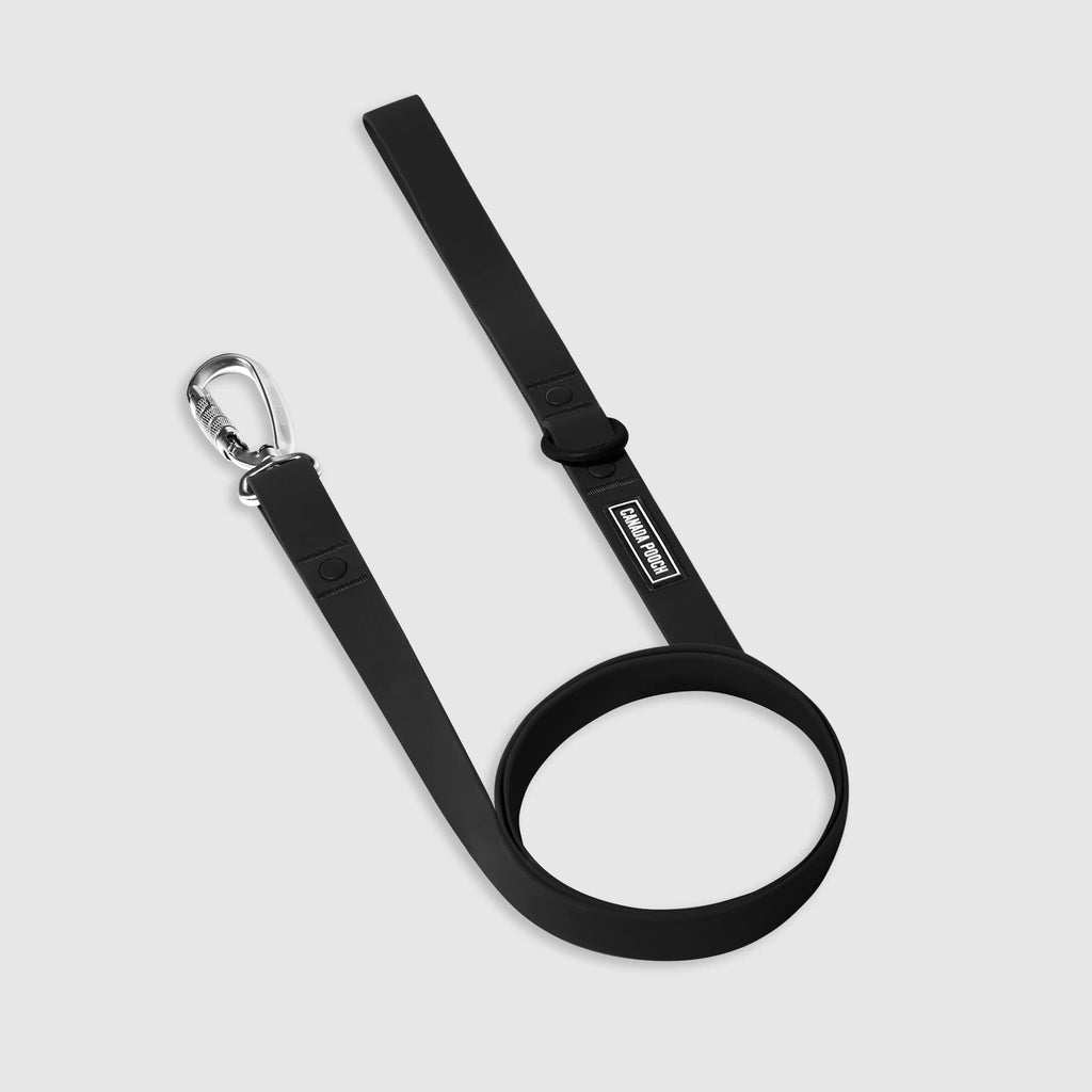 Waterproof Leash B5
