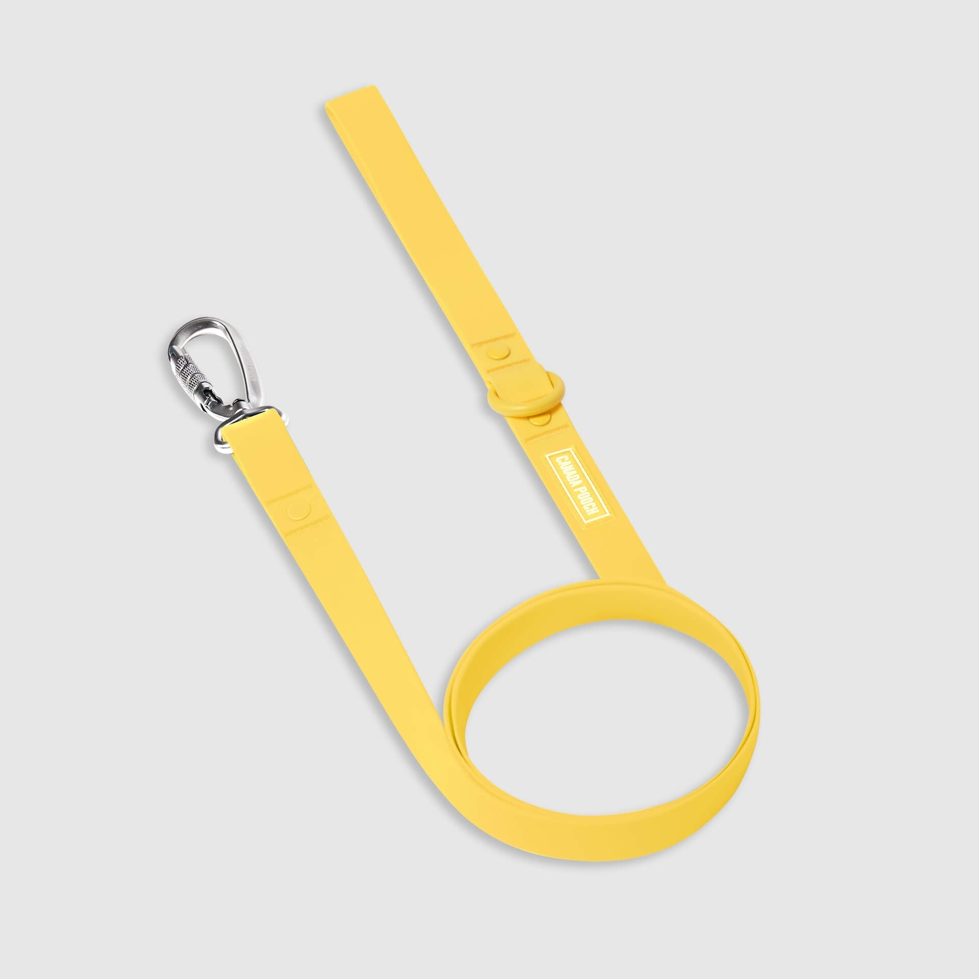 Waterproof Leash B5